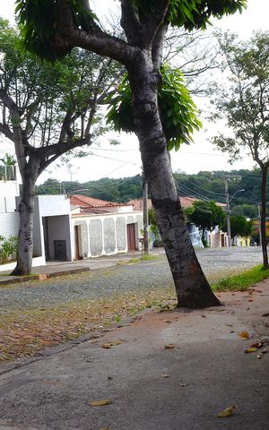 Apartamento à venda com 150m², 3 quartos e 3 vagasVista da Rua