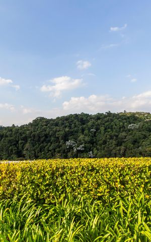 Apartamento à venda com 50m², 1 quarto e 1 vagaRooftop