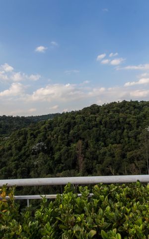 Apartamento à venda com 50m², 1 quarto e 1 vagaVista