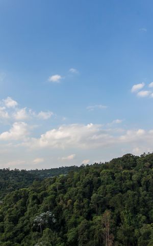 Apartamento à venda com 50m², 1 quarto e 1 vagaVista