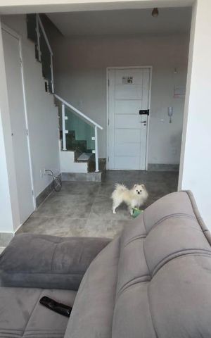Apartamento à venda com 69m², 2 quartos e 1 vaga Apartamento à venda com 69m², 2 quartos e 1 vagaSala