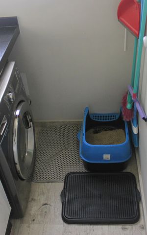 Apartamento à venda com 59m², 2 quartos e 1 vagaLavanderia 