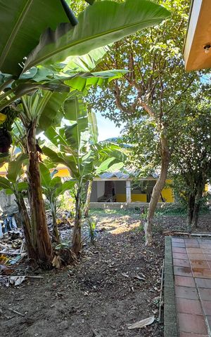 Casa à venda com 254m², 3 quartos e 4 vagas Casa à venda com 254m², 3 quartos e 4 vagasQuintal