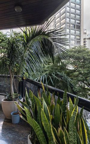 Apartamento à venda com 208m², 4 quartos e 4 vagas Apartamento à venda com 208m², 4 quartos e 4 vagasVaranda da Sala