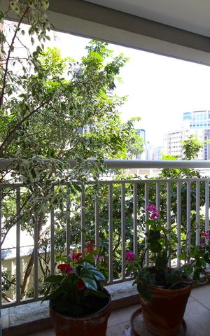Apartamento para alugar com 76m², 2 quartos e 1 vagaVaranda