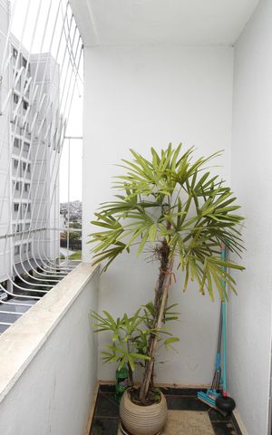 Apartamento à venda com 130m², 4 quartos e 1 vagaVaranda