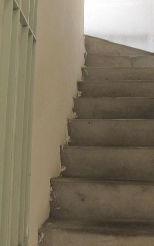 Casa à venda com 231m², 3 quartos e 2 vagasÁrea de Serviço