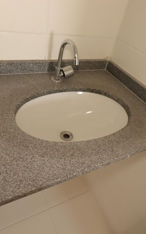Apartamento à venda com 54m², 2 quartos e 1 vagaBanheiro Social - Pia