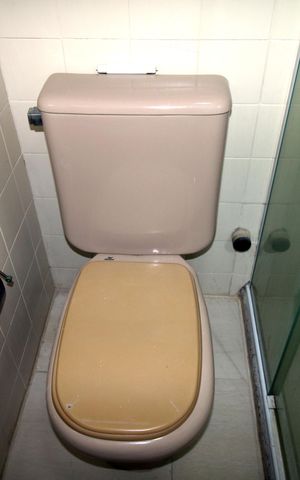 Apartamento à venda com 67m², 2 quartos e 1 vagaBanheiro