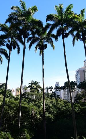 Apartamento à venda com 132m², 2 quartos e 1 vagaQuarto 2 - Vista