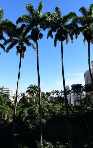 Apartamento à venda com 132m², 2 quartos e 1 vagaSala - Vista