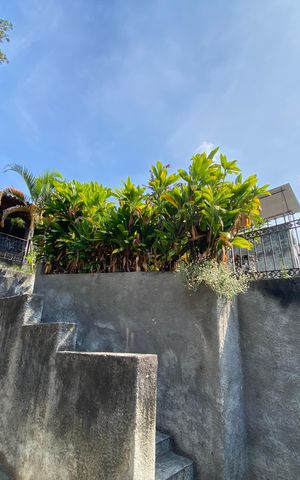 Casa à venda com 1240m², 5 quartos e 4 vagas