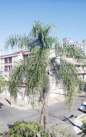 Apartamento à venda com 92m², 2 quartos e 1 vagaQuarto 2 Vista