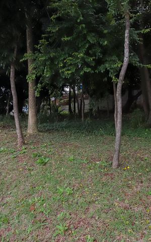 Apartamento para alugar com 43m², 2 quartos e 1 vagaÁrea comum