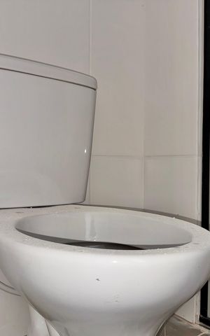 Apartamento para alugar com 66m², 2 quartos e 1 vaga Apartamento para alugar com 66m², 2 quartos e 1 vagaSuíte - Banheiro