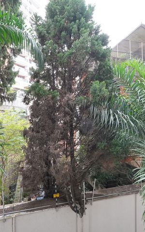 Apartamento à venda com 69m², 2 quartos e 1 vagaVista