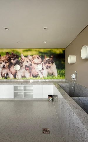 Apartamento à venda com 62m², 2 quartos e 1 vaga