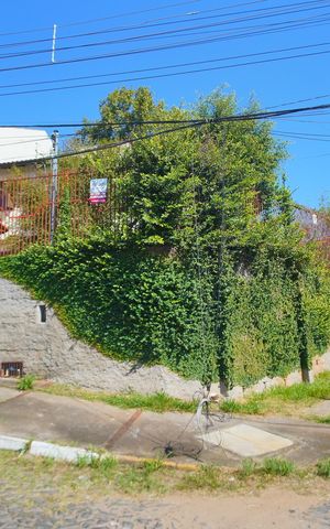 Casa para alugar com 571m², 2 quartos e 3 vagasFachada