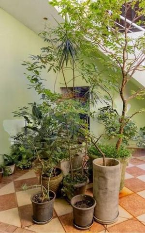 Casa à venda com 353m², 3 quartos e 2 vagas