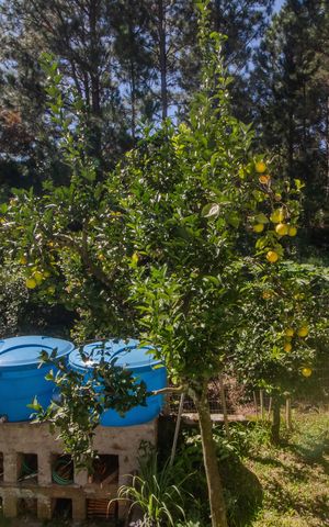 Apartamento para alugar com 60m², 2 quartos e sem vaga Apartamento para alugar com 60m², 2 quartos e sem vagaVista