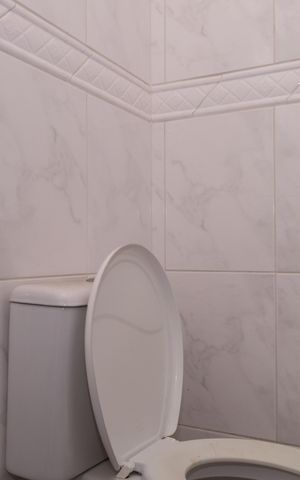 Casa para alugar com 355m², 6 quartos e 3 vagasBanheiro 4