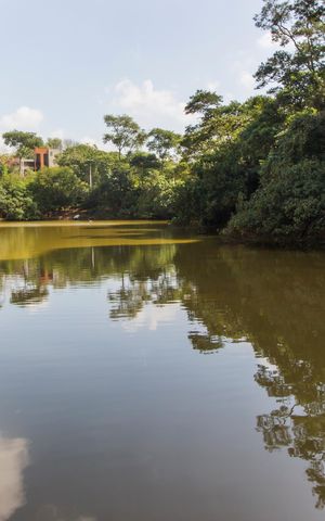 Apartamento para alugar com 176m², 4 quartos e 3 vagasParque