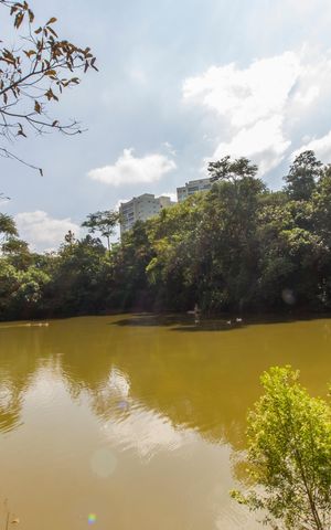 Apartamento para alugar com 176m², 4 quartos e 3 vagasParque