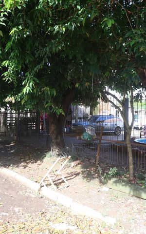 Casa à venda com 355m², 8 quartos e sem vagaFachada
