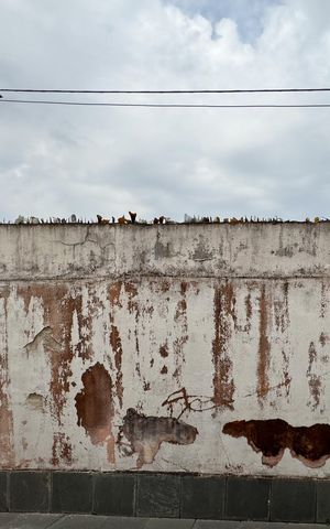Casa à venda com 300m², 4 quartos e 3 vagas Casa à venda com 300m², 4 quartos e 3 vagasVista - Sala