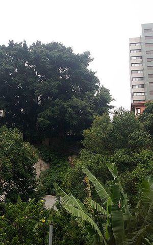 Apartamento à venda com 76m², 3 quartos e 1 vagaSala Vista