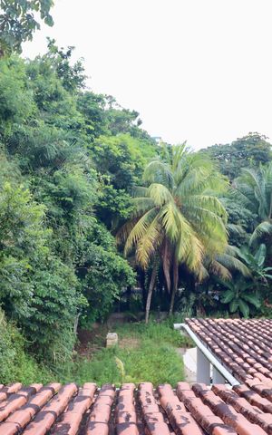 Studio para alugar com 20m², 1 quarto e sem vagaVista