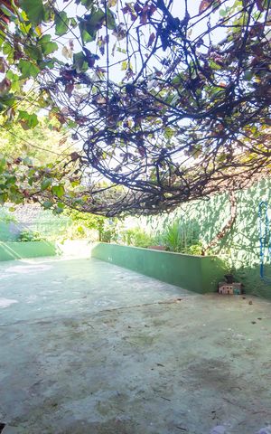 Casa à venda com 300m², 3 quartos e 7 vagas Casa à venda com 300m², 3 quartos e 7 vagasQuintal