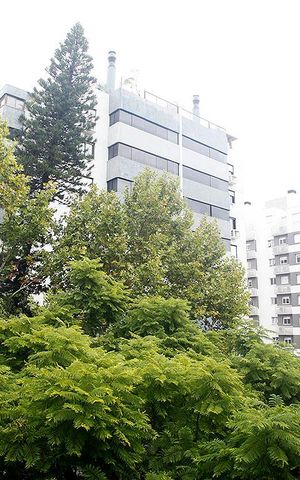 Apartamento à venda com 78m², 2 quartos e 2 vagasQuarto 1 Vista