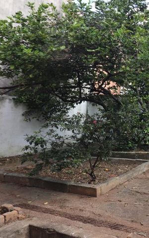 Casa para alugar com 131m², 3 quartos e 6 vagasQuintal 