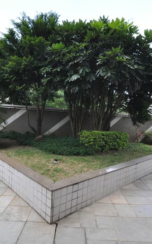 Apartamento à venda com 230m², 4 quartos e 4 vagasÁrea comum