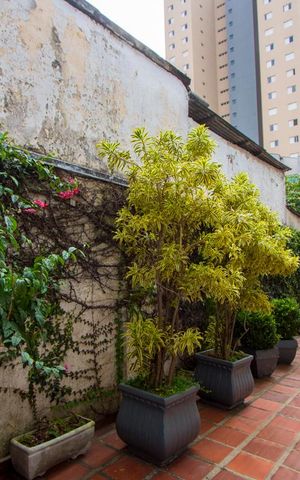 Casa para alugar com 360m², 3 quartos e 6 vagasCorredor externo