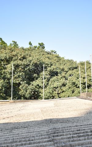Casa para alugar com 50m², 2 quartos e sem vagaÁrea de Serviço