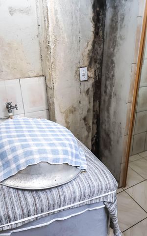 Casa à venda com 75m², 2 quartos e sem vagaÁrea de Serviço