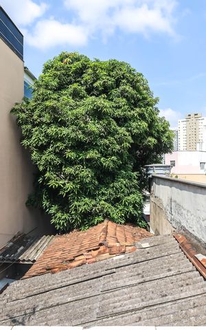 Casa à venda com 75m², 2 quartos e sem vagaQuintal