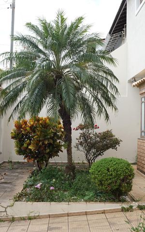 Casa à venda com 350m², 3 quartos e 3 vagasJardim