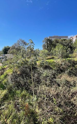Apartamento para alugar com 50m², 2 quartos e 1 vagaQuarto 1