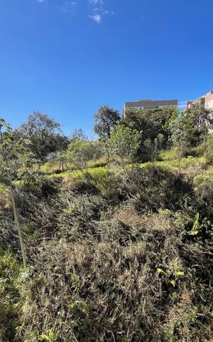 Apartamento para alugar com 50m², 2 quartos e 1 vagaSala
