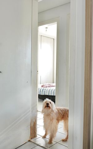 Apartamento à venda com 64m², 3 quartos e 1 vaga Apartamento à venda com 64m², 3 quartos e 1 vagaQuarto 1