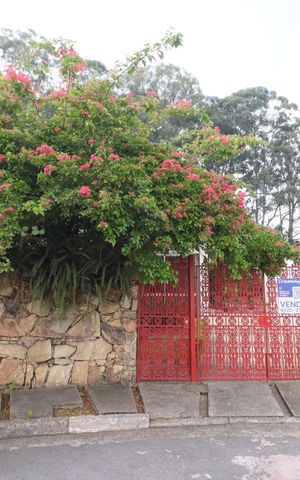 Casa à venda com 500m², 5 quartos e 3 vagasFachada