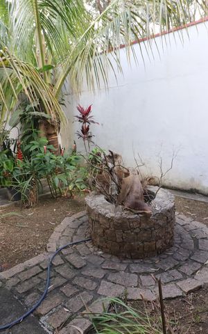 Casa à venda com 500m², 5 quartos e 3 vagasGaragem 2