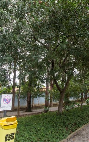 Casa de condomínio à venda com 375m², 3 quartos e 4 vagasVista da Rua