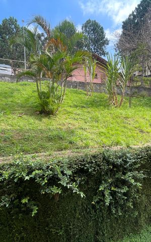 Apartamento para alugar com 52m², 2 quartos e 1 vagaVista