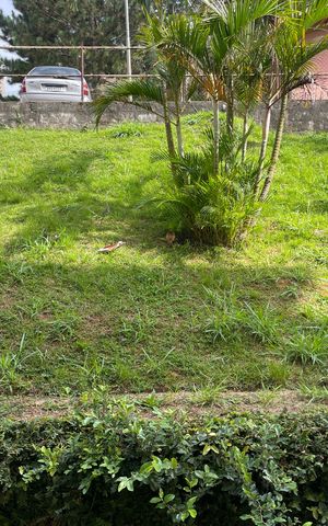 Apartamento para alugar com 52m², 2 quartos e 1 vagaVista do Quarto 1