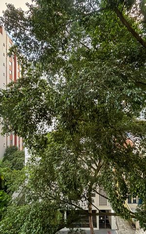 Apartamento para alugar com 107m², 4 quartos e 2 vagas