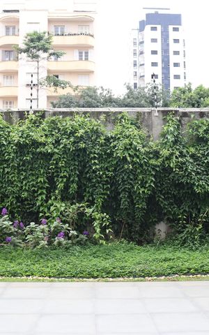 Apartamento à venda com 25m², 1 quarto e sem vagaÁrea Comum 